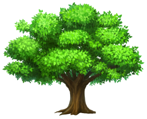 Oack_Tree_PNG_Clipart_Picture